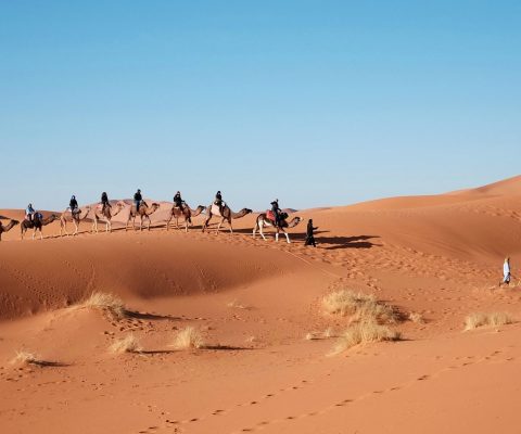 Votre Trek dans le Sahara du Maroc