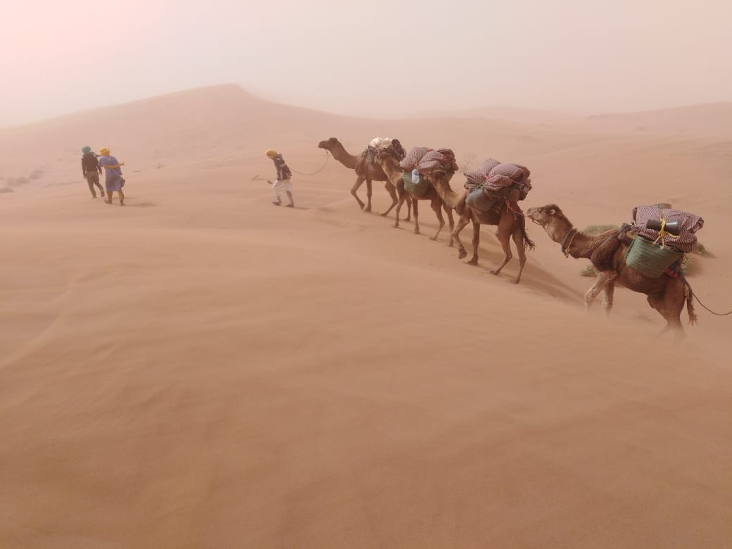 Un trek au Sahara, bivouac au coeur du désert du Maroc